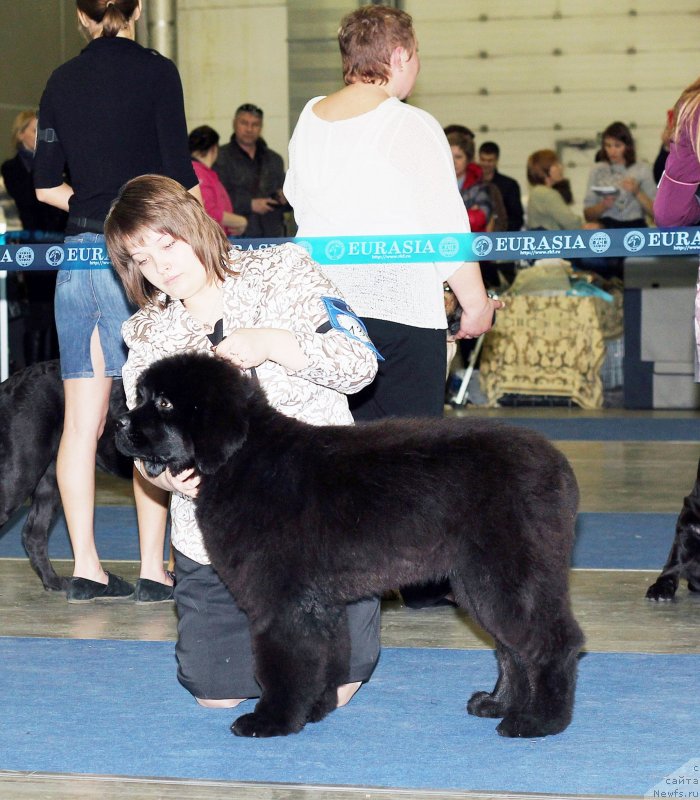 Фотография № 149671