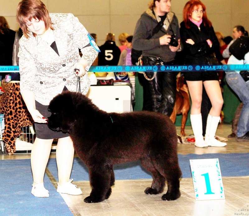 Фотография № 149673