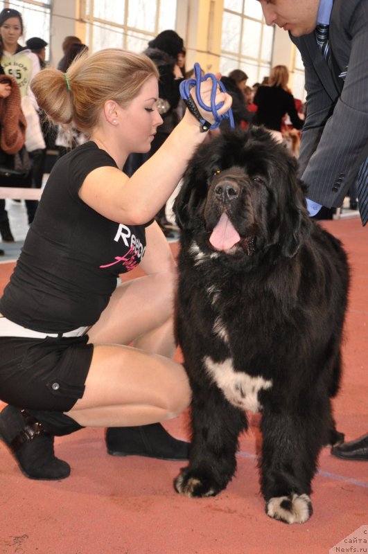 Фотография № 149684