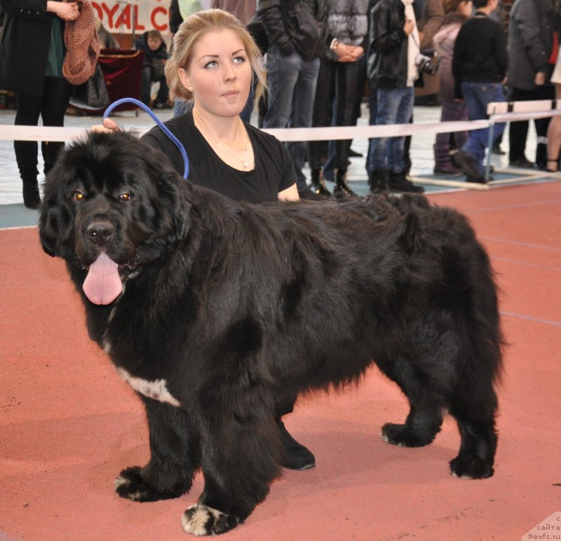 Фотография № 149685