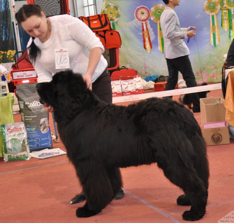 Фотография № 149687