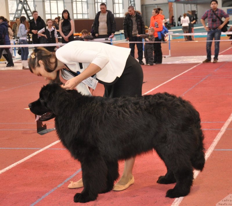 Фотография № 149688