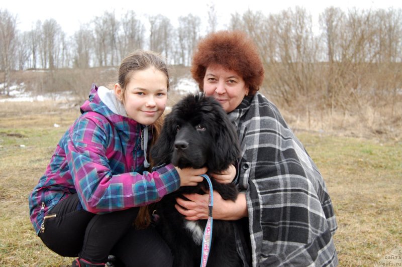 Фото: ньюфаундленд Мерседес Вялiкi Мядзведзь (Mercedes Vialiki Miadzvedz)