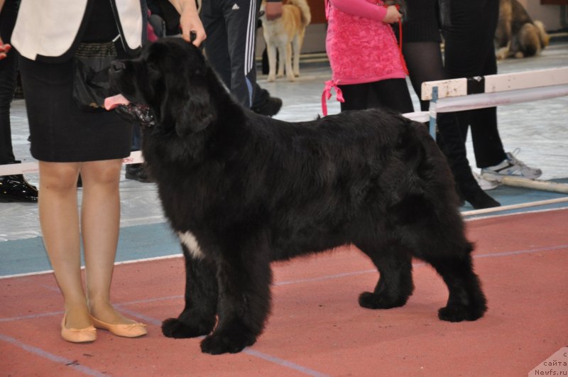 Фотография № 149704