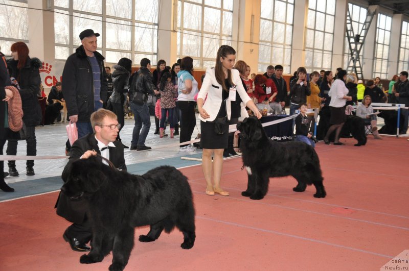 Фотография № 149706