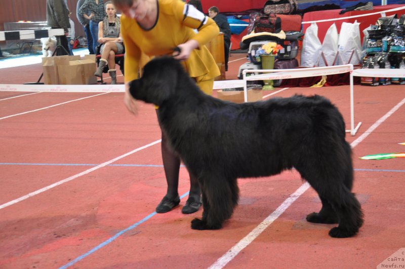 Фотография № 149710