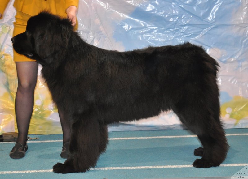 Фотография № 149712