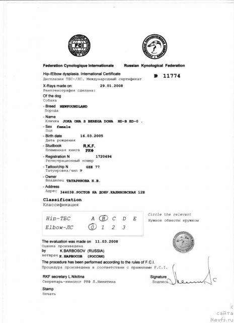 Фото: ньюфаундленд Ёка Она с Берега Дона (Joka Ona s Berega Dona)