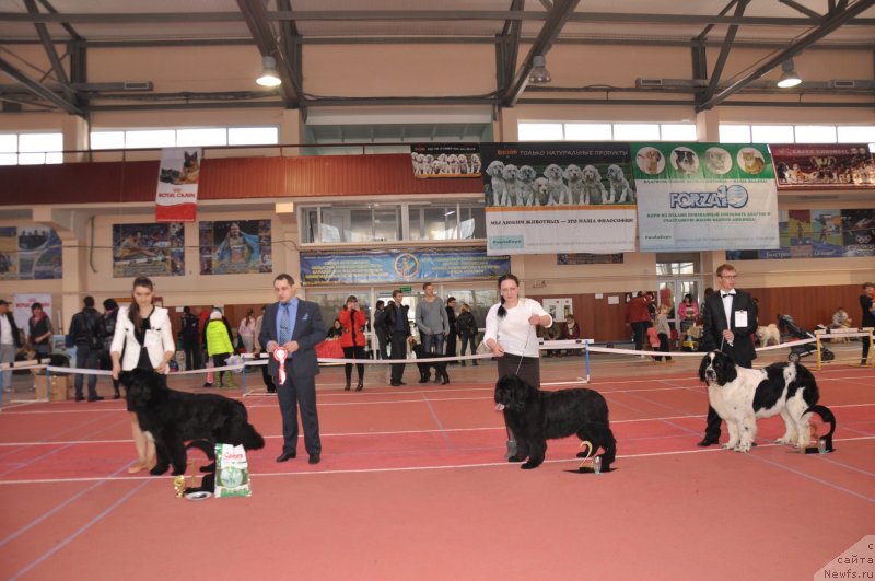 Фотография № 149733