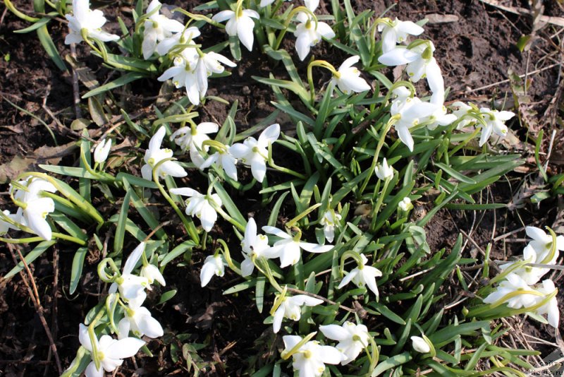 Фотография № 149745