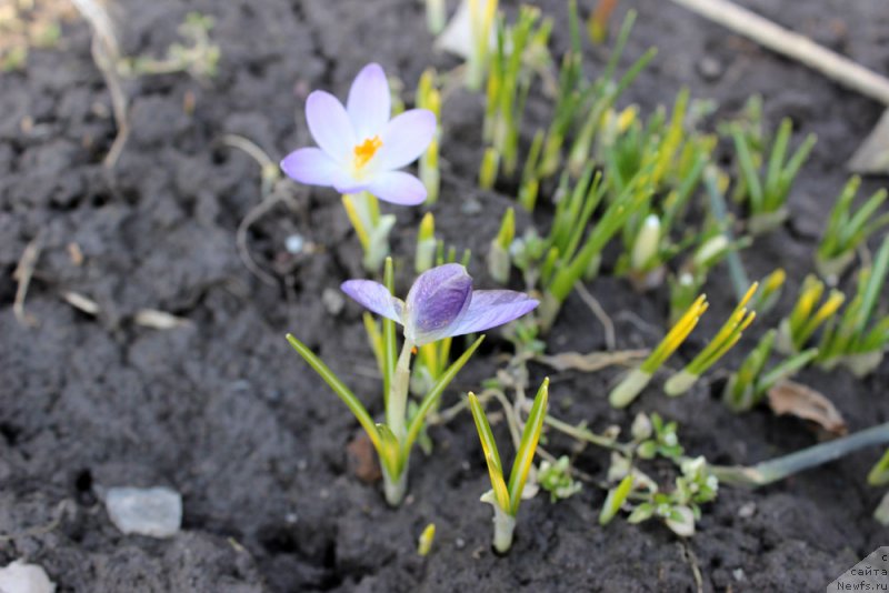 Фотография № 149747