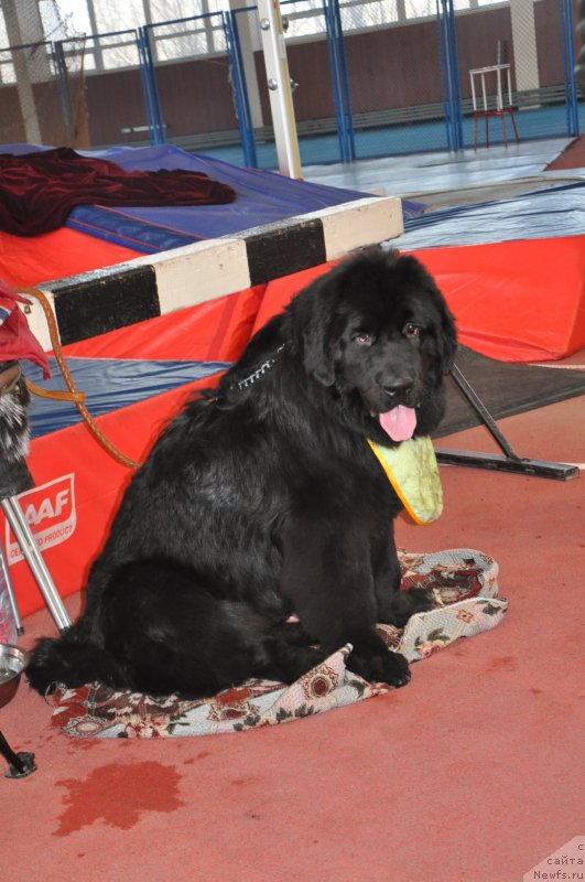 Фотография № 149749