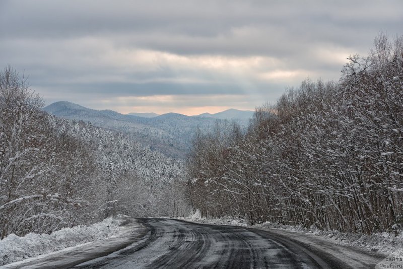 Фотография № 149762