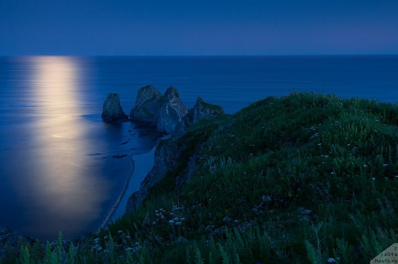 Фотография № 149763