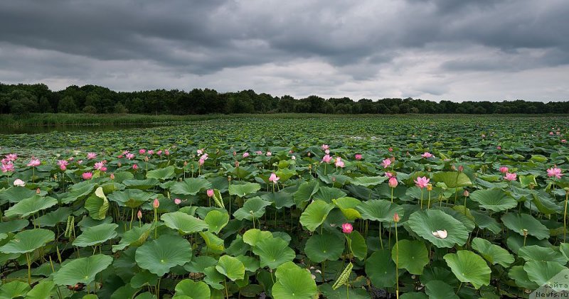 Фотография № 149764