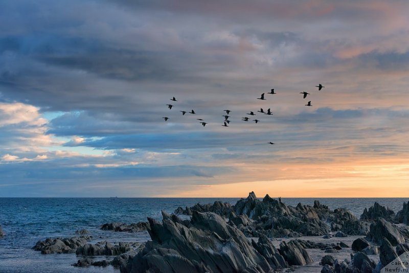 Фотография № 149765