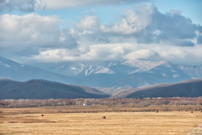 Фотография № 149766