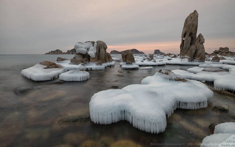 Фотография № 149767