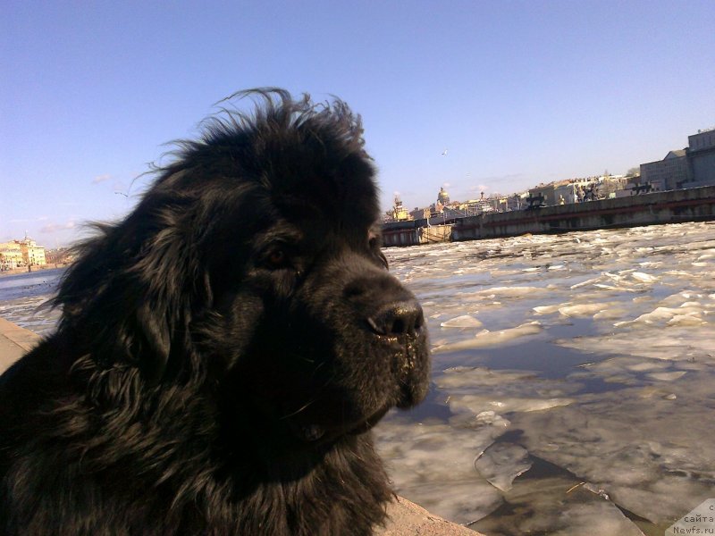 Фотография № 149783