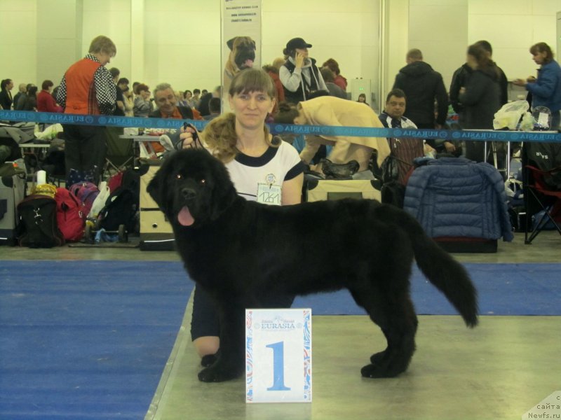 Фотография № 149792