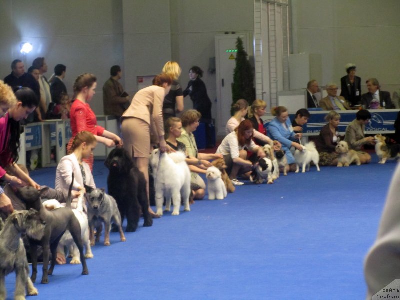 Фотография № 149793