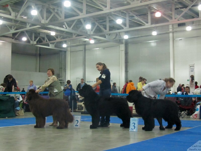 Фотография № 149794