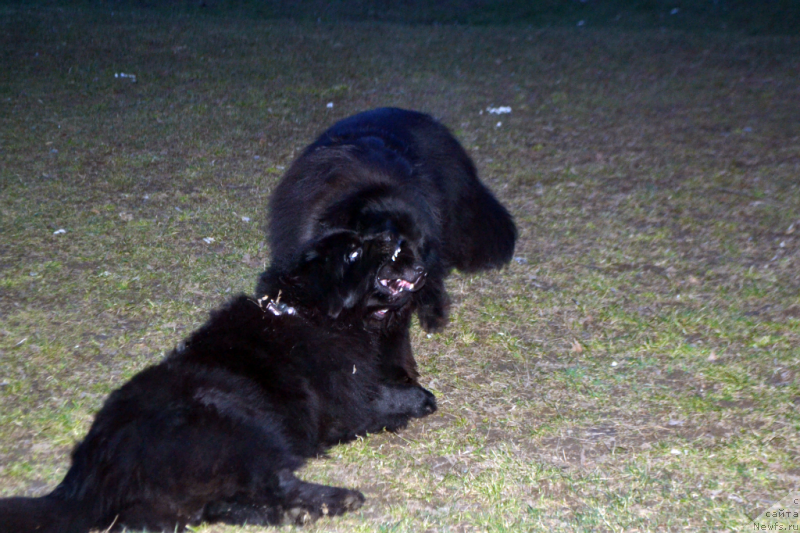 Фотография № 149796