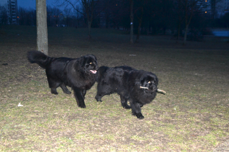 Фотография № 149797