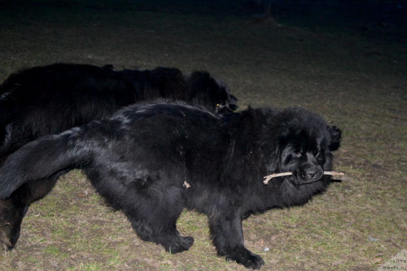 Фотография № 149798