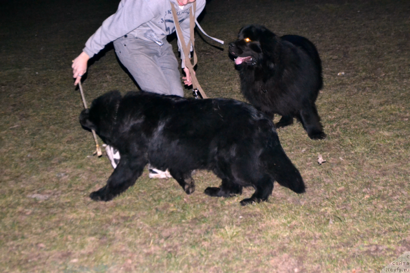 Фотография № 149799