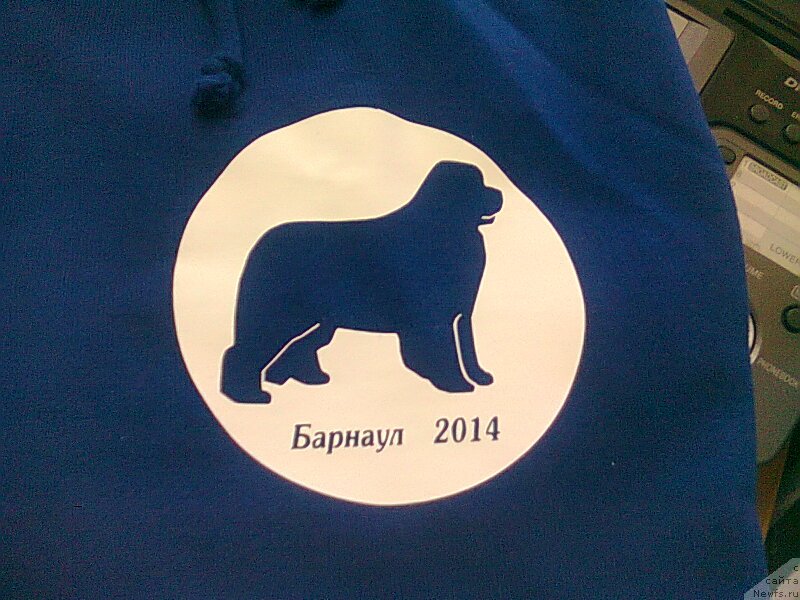 Фотография № 149803