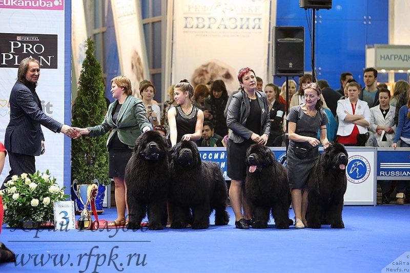 Фотография № 149843