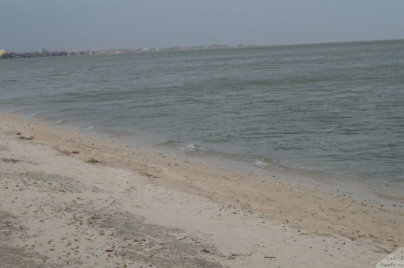 Фотография № 149858