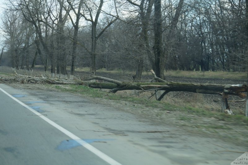 Фотография № 149859