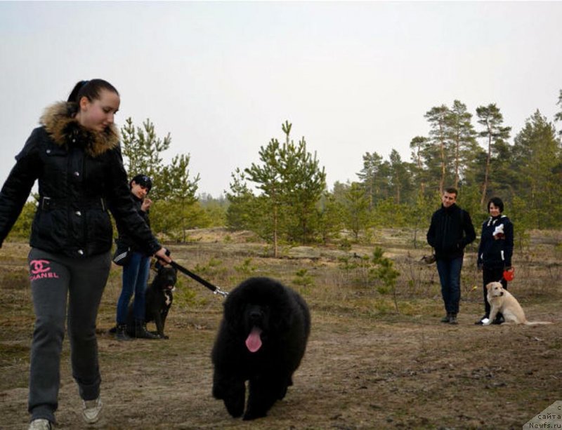 Фотография № 149896