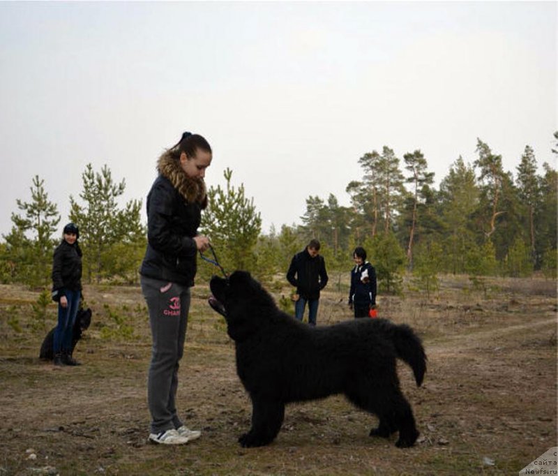 Фотография № 149897