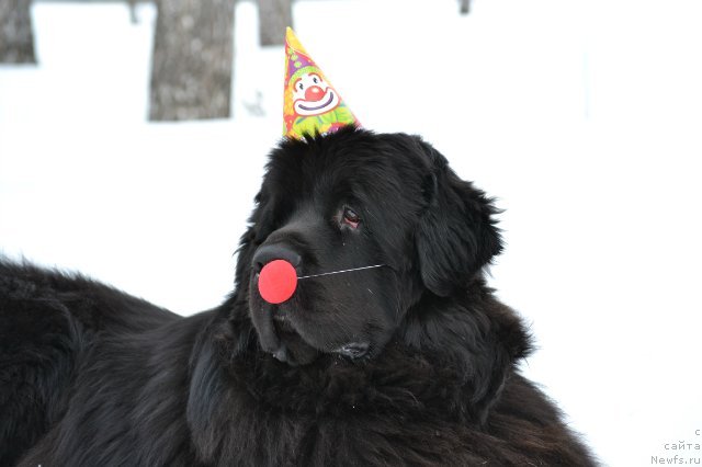 Фотография № 149921