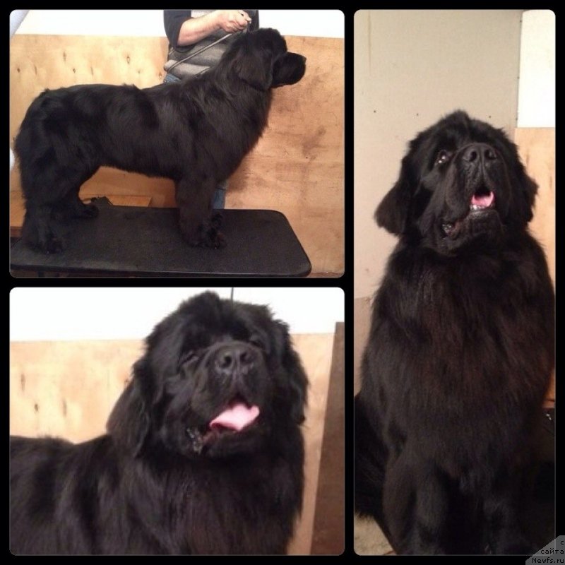 Фотография № 149945