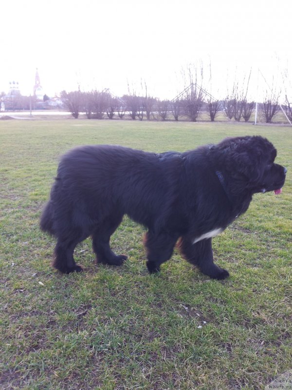 Фотография № 149949