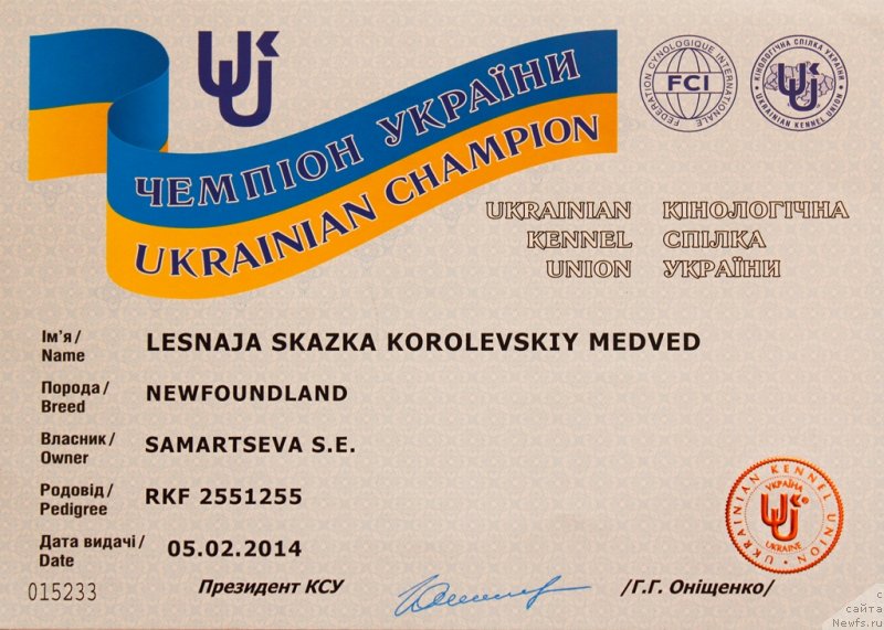 Фотография № 149979