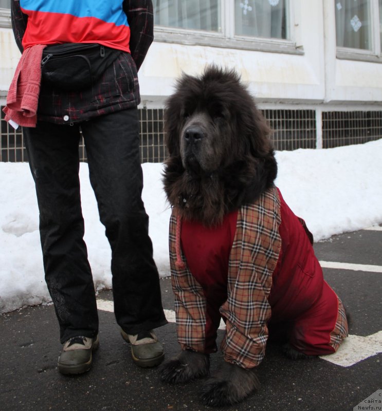 Фотография № 149987