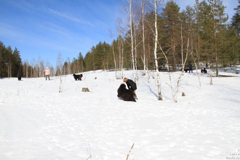 Фотография № 150049