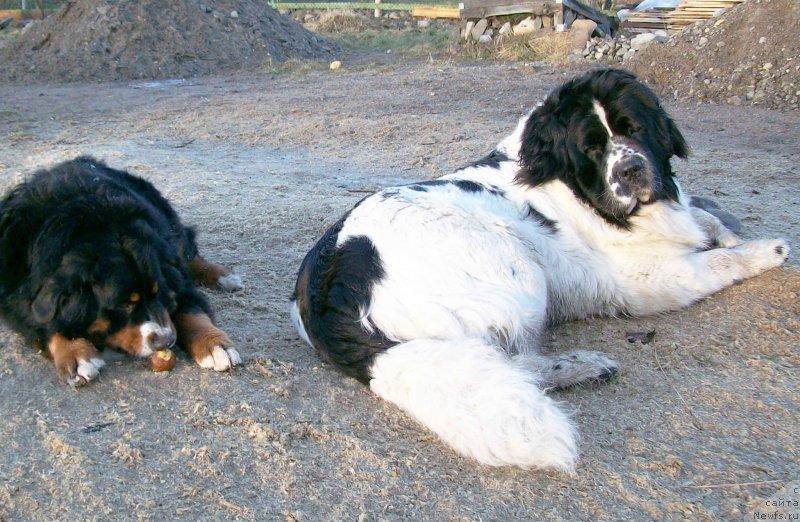 Фотография № 150133