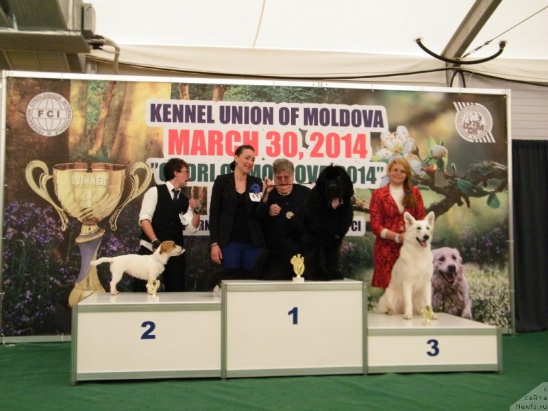 Фотография № 150146