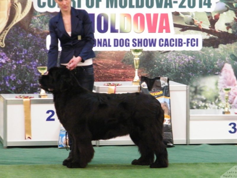 Фотография № 150148