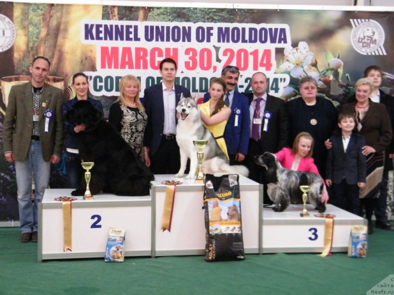 Фотография № 150151