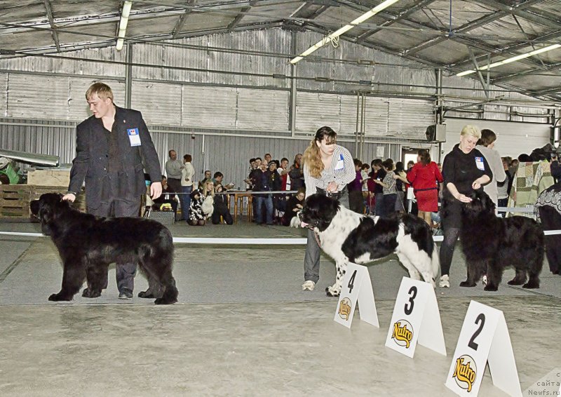 Фотография № 150152