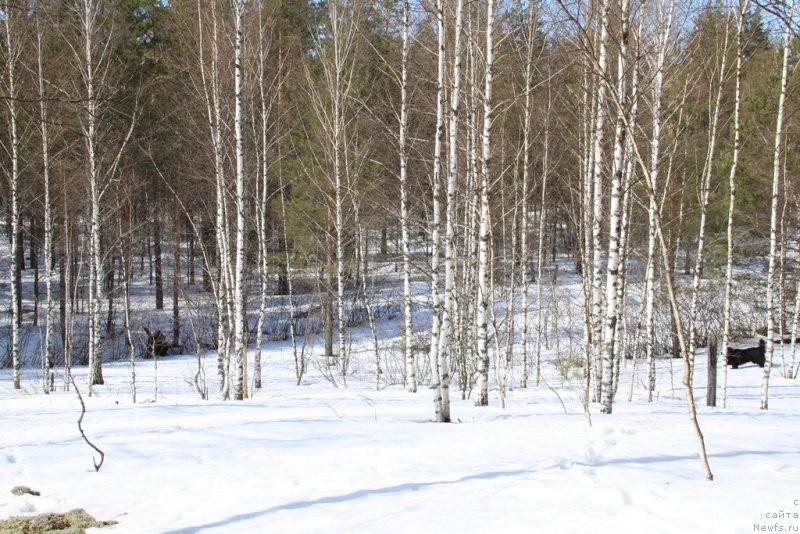 Фотография № 150175