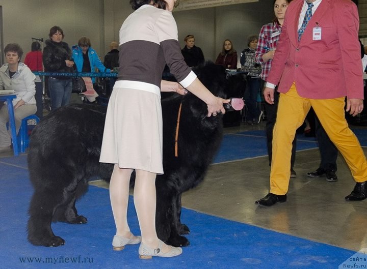 Фотография № 150186