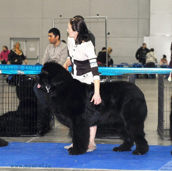 Фотография № 150187